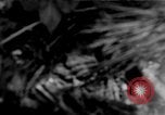 Image of United States soldiers Okinawa Ryukyu Islands, 1945, second 1 stock footage video 65675052961