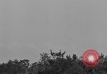 Image of United States soldiers Okinawa Ryukyu Islands, 1945, second 49 stock footage video 65675052961