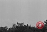 Image of United States soldiers Okinawa Ryukyu Islands, 1945, second 53 stock footage video 65675052961