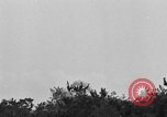 Image of United States soldiers Okinawa Ryukyu Islands, 1945, second 56 stock footage video 65675052961