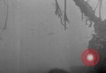 Image of 305th Infantry 77th Division Yuza Okinawa Ryukyu Islands, 1945, second 51 stock footage video 65675052963
