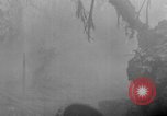 Image of 305th Infantry 77th Division Yuza Okinawa Ryukyu Islands, 1945, second 54 stock footage video 65675052963