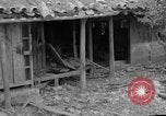 Image of 305th Infantry 77th Division Yuza Okinawa Ryukyu Islands, 1945, second 15 stock footage video 65675052965