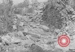 Image of 305th Infantry 77th Division Yuza Okinawa Ryukyu Islands, 1945, second 34 stock footage video 65675052965
