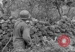 Image of 305th Infantry 77th Division Yuza Okinawa Ryukyu Islands, 1945, second 53 stock footage video 65675052965