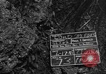 Image of 32nd Infantry 7th Division Okinawa Ryukyu Islands, 1945, second 5 stock footage video 65675052967