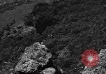 Image of 32nd Infantry 7th Division Okinawa Ryukyu Islands, 1945, second 15 stock footage video 65675052967