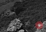 Image of 32nd Infantry 7th Division Okinawa Ryukyu Islands, 1945, second 17 stock footage video 65675052967