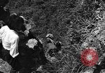 Image of 32nd Infantry 7th Division Okinawa Ryukyu Islands, 1945, second 29 stock footage video 65675052967