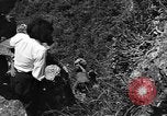 Image of 32nd Infantry 7th Division Okinawa Ryukyu Islands, 1945, second 30 stock footage video 65675052967