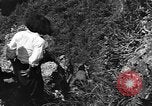Image of 32nd Infantry 7th Division Okinawa Ryukyu Islands, 1945, second 32 stock footage video 65675052967