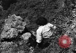 Image of 32nd Infantry 7th Division Okinawa Ryukyu Islands, 1945, second 37 stock footage video 65675052967