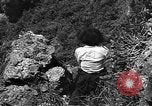 Image of 32nd Infantry 7th Division Okinawa Ryukyu Islands, 1945, second 39 stock footage video 65675052967