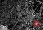 Image of 32nd Infantry 7th Division Okinawa Ryukyu Islands, 1945, second 46 stock footage video 65675052967