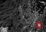 Image of 32nd Infantry 7th Division Okinawa Ryukyu Islands, 1945, second 48 stock footage video 65675052967
