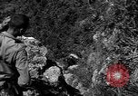 Image of 32nd Infantry 7th Division Okinawa Ryukyu Islands, 1945, second 53 stock footage video 65675052967