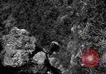 Image of 32nd Infantry 7th Division Okinawa Ryukyu Islands, 1945, second 54 stock footage video 65675052967