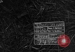 Image of 32nd Infantry 7th Division Okinawa Ryukyu Islands, 1945, second 1 stock footage video 65675052968