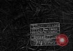 Image of 32nd Infantry 7th Division Okinawa Ryukyu Islands, 1945, second 3 stock footage video 65675052968