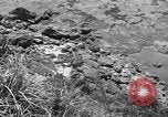 Image of 32nd Infantry 7th Division Okinawa Ryukyu Islands, 1945, second 18 stock footage video 65675052968