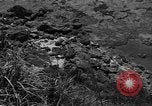 Image of 32nd Infantry 7th Division Okinawa Ryukyu Islands, 1945, second 19 stock footage video 65675052968
