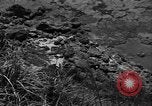 Image of 32nd Infantry 7th Division Okinawa Ryukyu Islands, 1945, second 20 stock footage video 65675052968