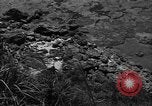 Image of 32nd Infantry 7th Division Okinawa Ryukyu Islands, 1945, second 24 stock footage video 65675052968