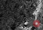 Image of 32nd Infantry 7th Division Okinawa Ryukyu Islands, 1945, second 57 stock footage video 65675052968