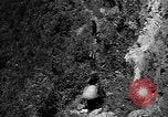 Image of 32nd Infantry 7th Division Okinawa Ryukyu Islands, 1945, second 59 stock footage video 65675052968