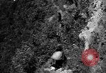 Image of 32nd Infantry 7th Division Okinawa Ryukyu Islands, 1945, second 60 stock footage video 65675052968