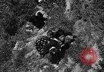 Image of 32nd Infantry 7th Division Okinawa Ryukyu Islands, 1945, second 16 stock footage video 65675052969