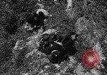 Image of 32nd Infantry 7th Division Okinawa Ryukyu Islands, 1945, second 17 stock footage video 65675052969
