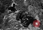 Image of 32nd Infantry 7th Division Okinawa Ryukyu Islands, 1945, second 18 stock footage video 65675052969