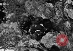 Image of 32nd Infantry 7th Division Okinawa Ryukyu Islands, 1945, second 20 stock footage video 65675052969