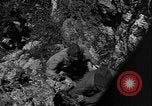 Image of 32nd Infantry 7th Division Okinawa Ryukyu Islands, 1945, second 41 stock footage video 65675052969