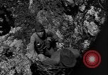 Image of 32nd Infantry 7th Division Okinawa Ryukyu Islands, 1945, second 42 stock footage video 65675052969