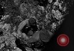 Image of 32nd Infantry 7th Division Okinawa Ryukyu Islands, 1945, second 43 stock footage video 65675052969