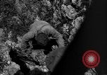 Image of 32nd Infantry 7th Division Okinawa Ryukyu Islands, 1945, second 45 stock footage video 65675052969