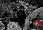 Image of 32nd Infantry 7th Division Okinawa Ryukyu Islands, 1945, second 46 stock footage video 65675052969