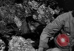 Image of 32nd Infantry 7th Division Okinawa Ryukyu Islands, 1945, second 47 stock footage video 65675052969