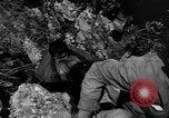 Image of 32nd Infantry 7th Division Okinawa Ryukyu Islands, 1945, second 48 stock footage video 65675052969