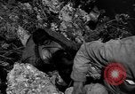 Image of 32nd Infantry 7th Division Okinawa Ryukyu Islands, 1945, second 49 stock footage video 65675052969