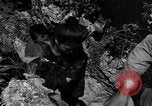 Image of 32nd Infantry 7th Division Okinawa Ryukyu Islands, 1945, second 51 stock footage video 65675052969