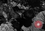 Image of 32nd Infantry 7th Division Okinawa Ryukyu Islands, 1945, second 52 stock footage video 65675052969