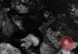 Image of 32nd Infantry 7th Division Okinawa Ryukyu Islands, 1945, second 54 stock footage video 65675052969