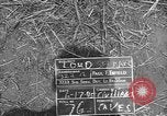 Image of 32nd Infantry 7th Division Okinawa Ryukyu Islands, 1945, second 3 stock footage video 65675052970