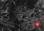 Image of 32nd Infantry 7th Division Okinawa Ryukyu Islands, 1945, second 5 stock footage video 65675052971