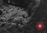 Image of 32nd Infantry 7th Division Okinawa Ryukyu Islands, 1945, second 30 stock footage video 65675052971