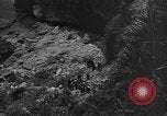 Image of 32nd Infantry 7th Division Okinawa Ryukyu Islands, 1945, second 31 stock footage video 65675052971