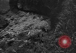 Image of 32nd Infantry 7th Division Okinawa Ryukyu Islands, 1945, second 32 stock footage video 65675052971
